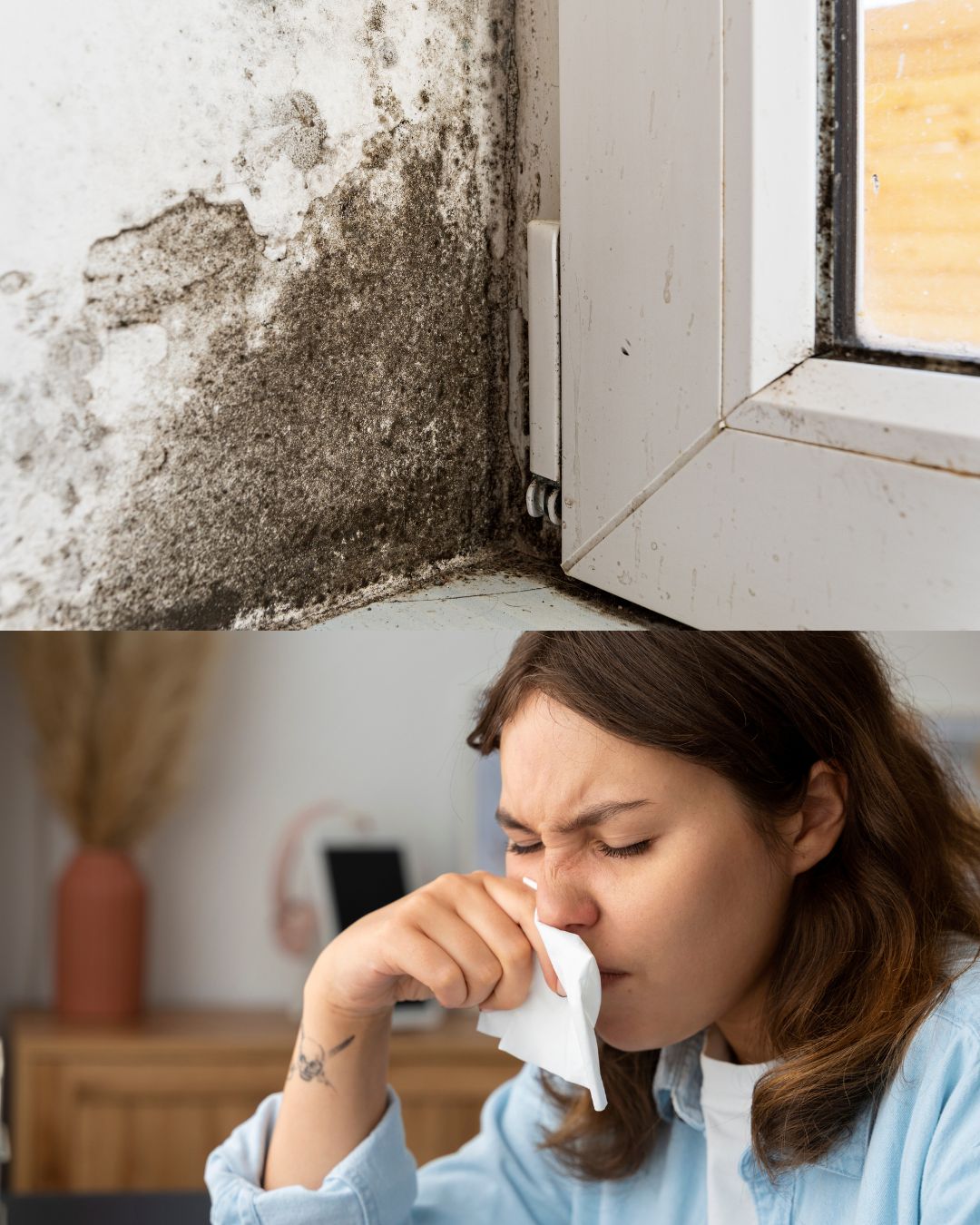 Ruduo ir pelėsis: kaip apsaugoti sveikatą? Alergologo patarimai